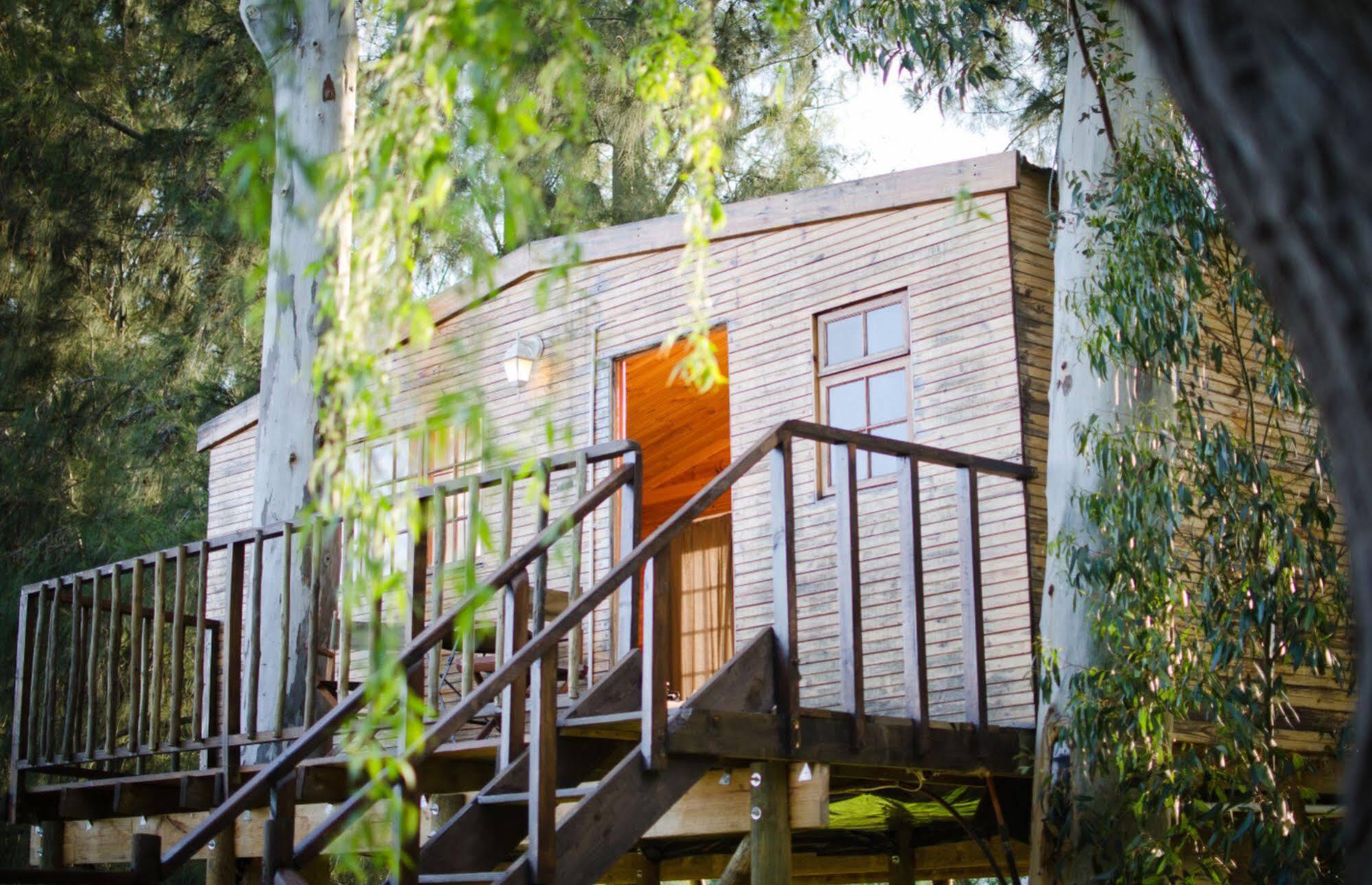 Vindoux Tree House Guest Farm & Spa Tulbagh Exterior foto