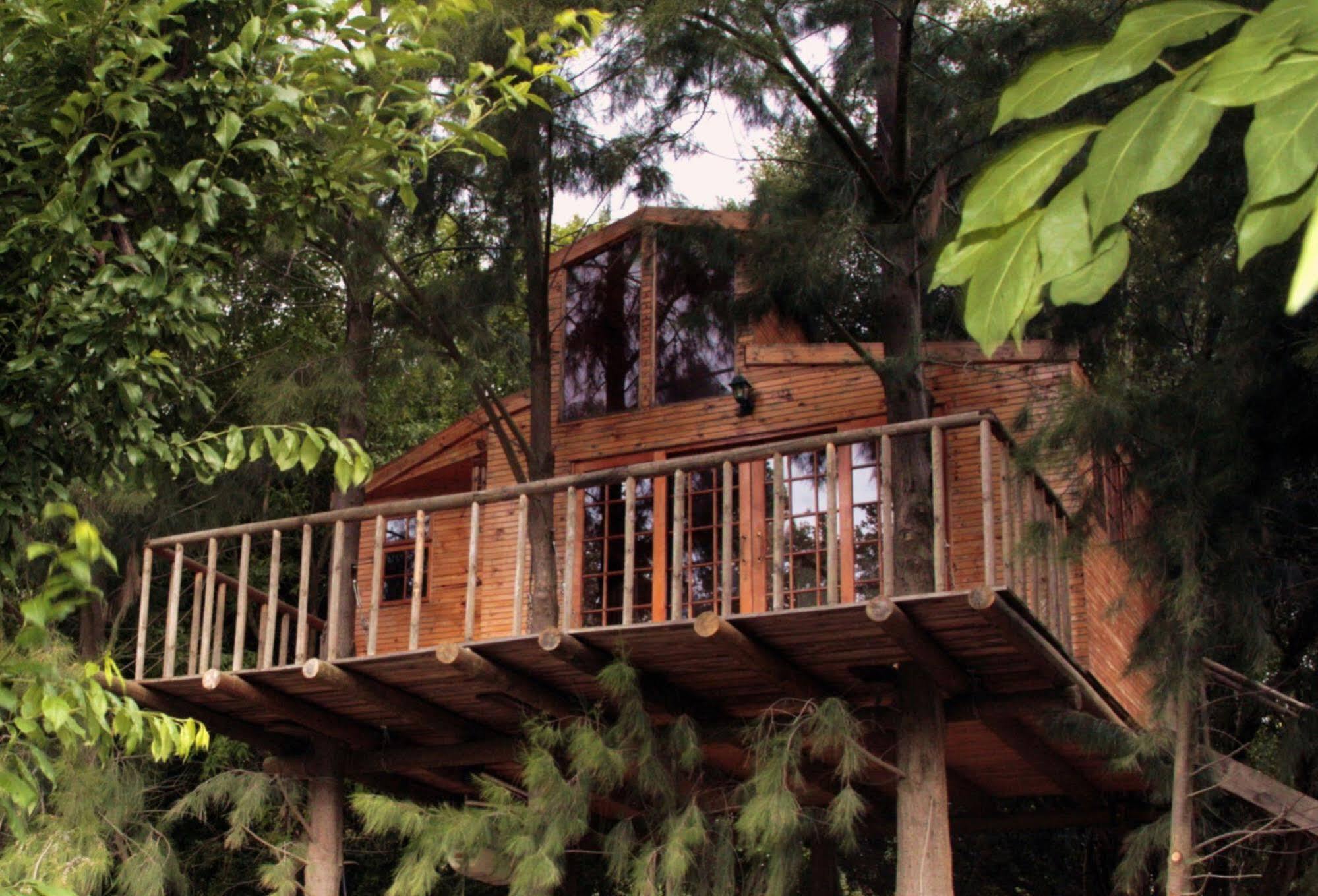 Vindoux Tree House Guest Farm & Spa Tulbagh Exterior foto